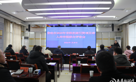 娄底市举行2025年省级招商引资项目库入库联合评审