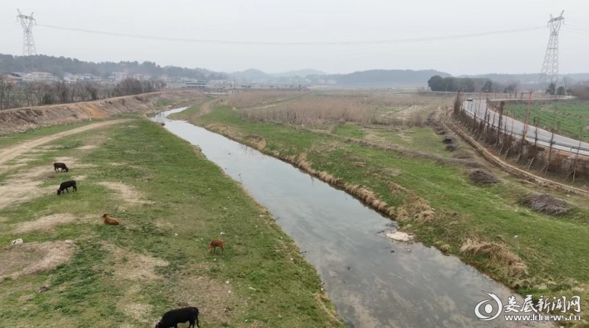 微信图片_20260204193330_3_445