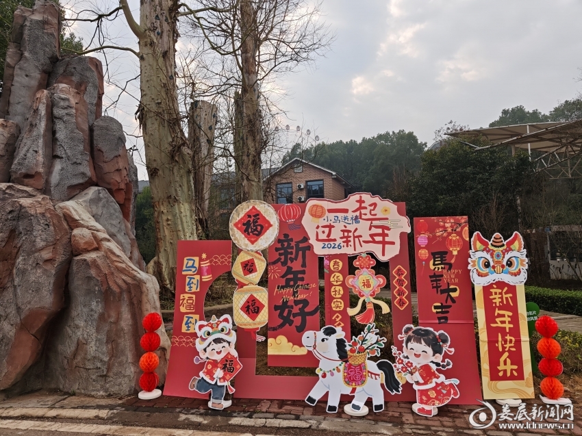 微信图片_2026-02-19_210439_307