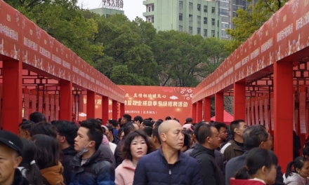 春风送岗暖娄底丨六大专区精准搭台 娄底开启新春稳就业“集结号”