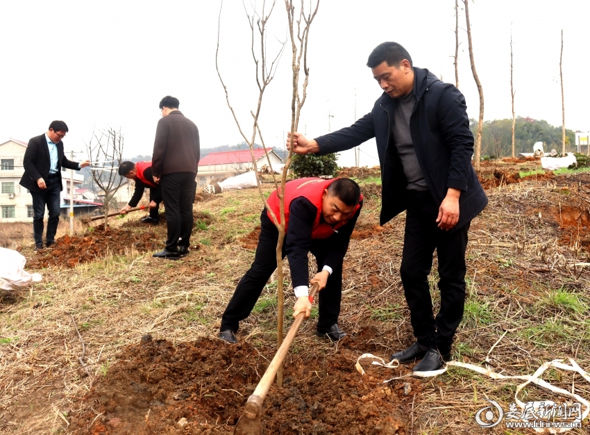 微信图片_20260226155540