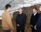 曾超群赴双峰县调研：扛牢政治责任 毫不放松抓好粮食生产