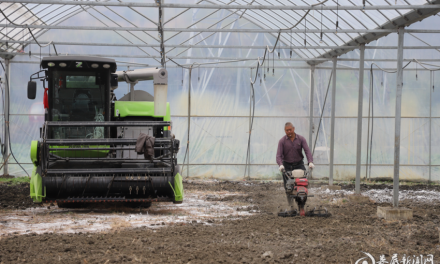 图说丨追着春光赶农时 娄底各地春耕备耕忙