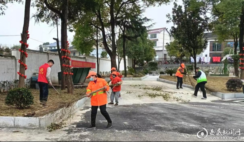 图片3