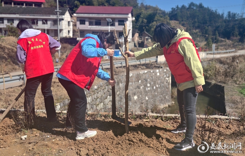 微信图片_20260311160958