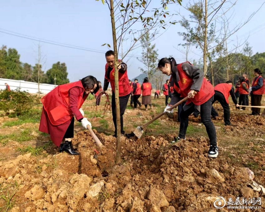 微信图片_20260312102811_53_1015