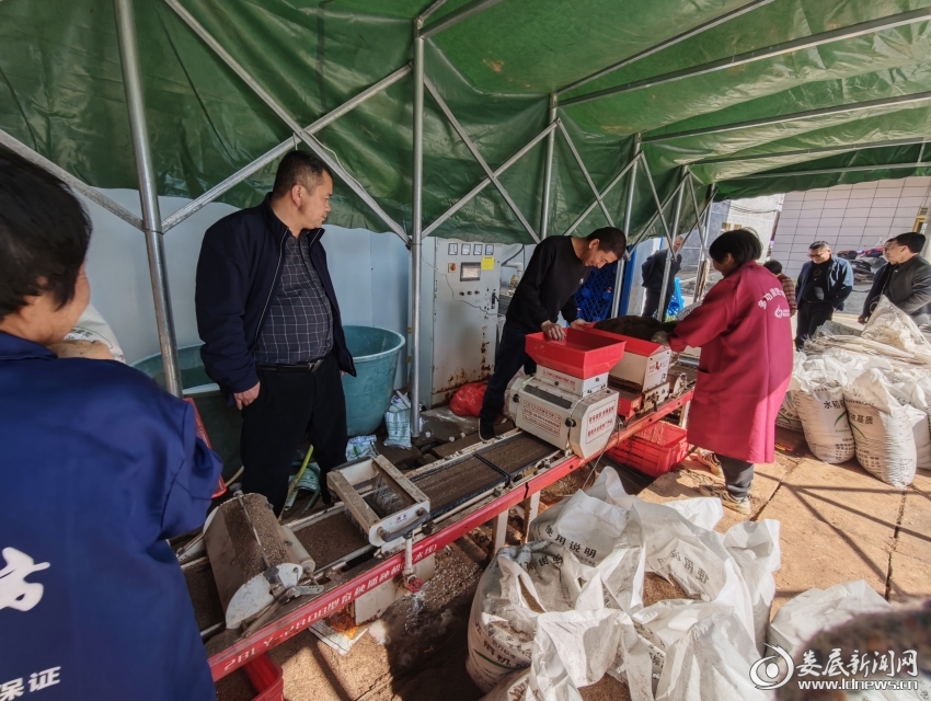 _20260312201956_13_1685