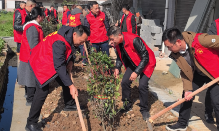 新化县孟公镇人大主席团组织开展义务植树活动