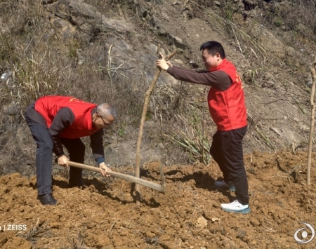 图说丨马年植绿，从身边开始