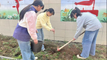 水洞底镇中心小学：播撒绿色希望 践行劳动光荣