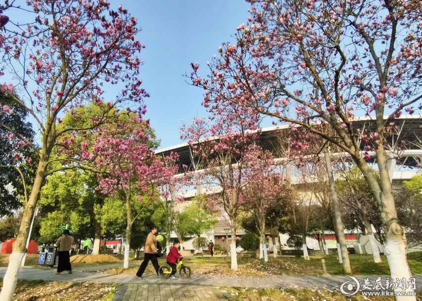 微信图片_20260320111511