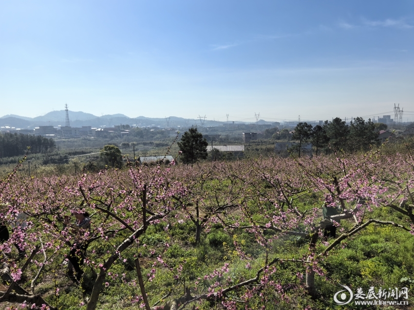 微信图片_20260320114415