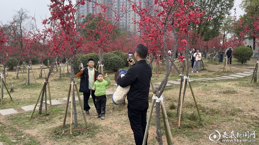 微信图片_20260320153539