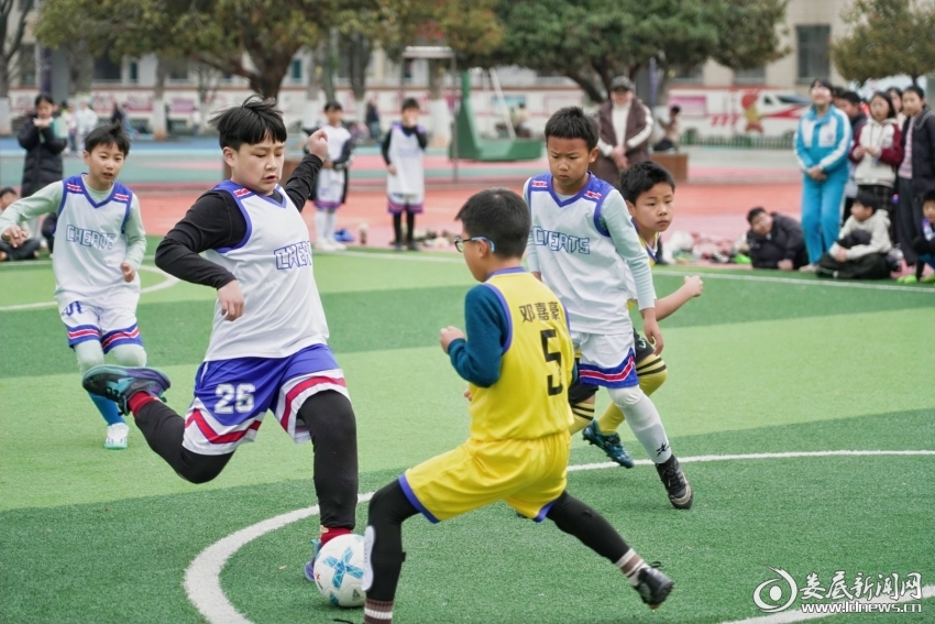 DSC08993-opq4440323751