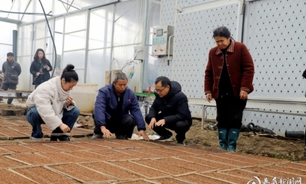 娄底春耕备耕全面铺开 双峰万亩综合示范片领跑