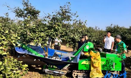 娄底企业校企协同攻关结硕果 油茶采收专利转化创湖南高校单笔最高纪录