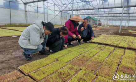 涟源：冒雨下乡“巡诊” 护好早稻“第一苗”