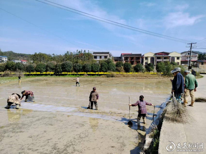 微信图片_20260326150928