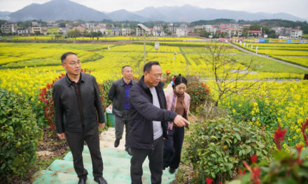 双峰县人大常委会领导到锁石镇督促油菜产业农文旅融合工作