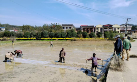 双峰县石牛乡人大代表下沉一线助春耕田间地头解难题