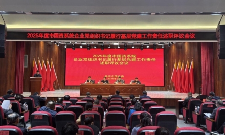 聚焦主责主业 筑牢国企根魂 娄底市国资系统开展基层党建述职评议