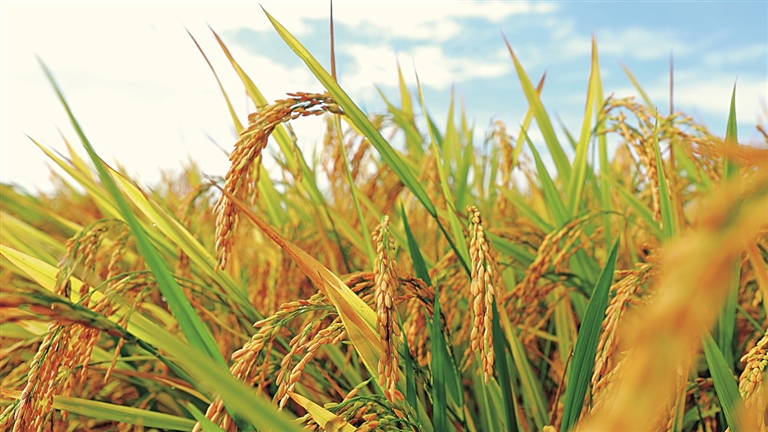 1fc1cd03-9f9b-47a4-a07c-7a7305f3d045