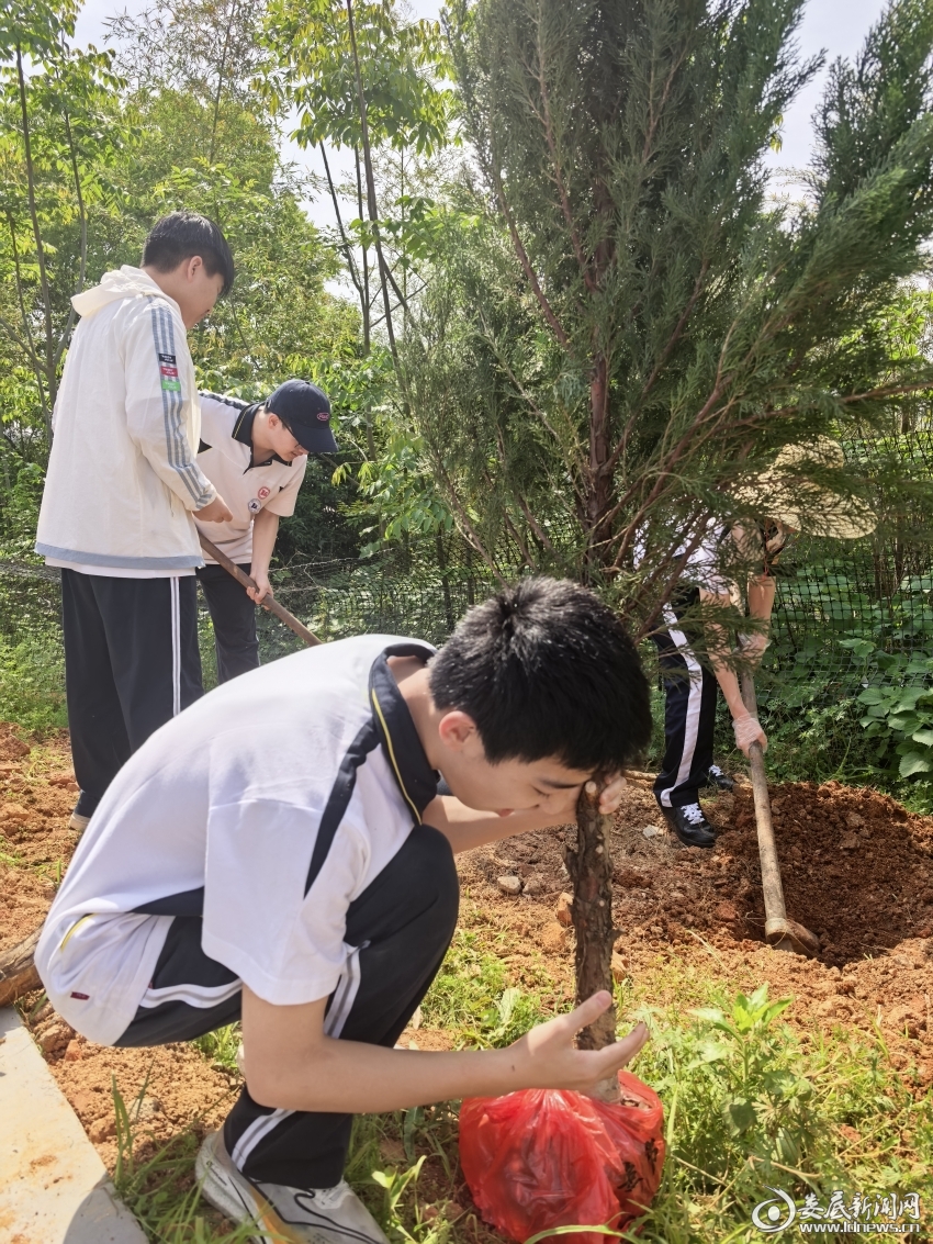 微信图片_20260421202412_1422_237