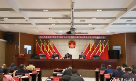 娄底市2025年度非公经济组织党支部书记履行基层党建工作责任述职评议会议召开