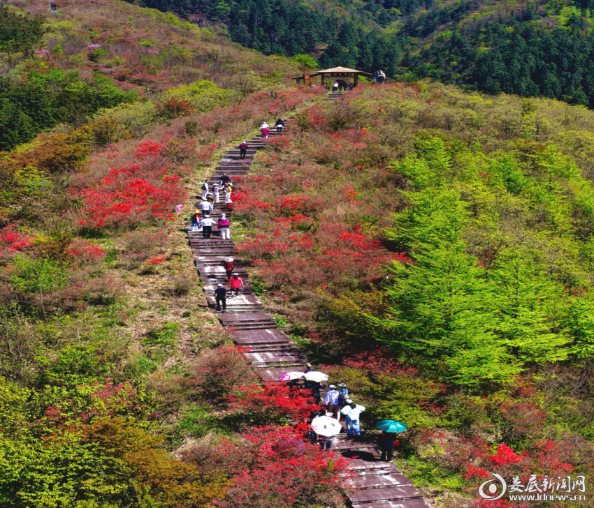 百名文艺家集中采风大熊山