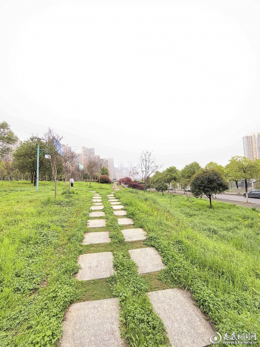 微信图片_20260429162410_66_428