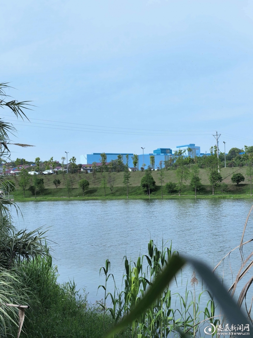 （生态修复绘就水清岸绿新画卷）