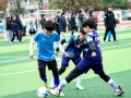 从一粒种子到一片森林——娄底足球青训“全链条”实践
