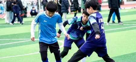 从一粒种子到一片森林——娄底足球青训“全链条”实践