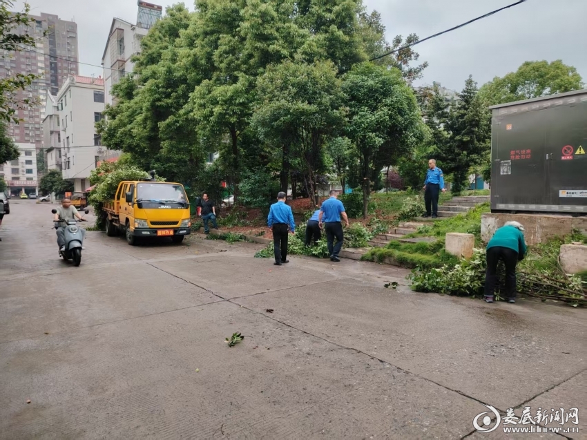 微信图片_20260509053235_139_271