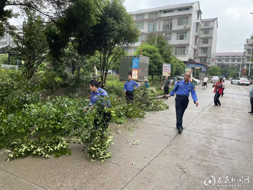 微信图片_20260509053242_140_271