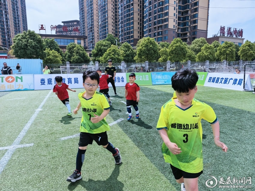 微信图片_20260509163512_43_276