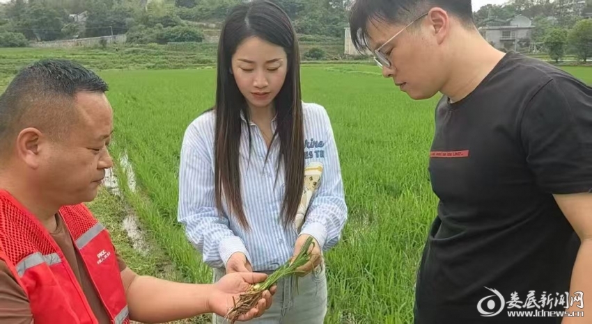 微信图片_20260516091658_2139_74