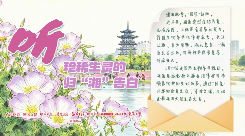 微信图片_20260522110241_645_30