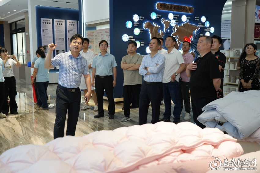 采访团在荷城羽绒了解桥圩羽绒发展史