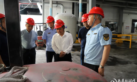 娄底市市场监管局赴冷水江开展安全生产大排查大整治 筑牢“三品一特”安全防线