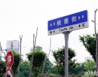 打通民生“幸福路” 娄底桃圃街正式通车
