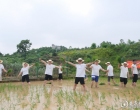 躬耕田园沃土 共建暖心家园｜娄底高速开展农耕体验活动