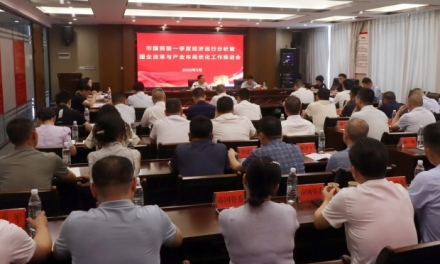 娄底市国资委召开一季度经济运行分析暨国企改革与产业布局优化工作推进会议