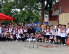 融媒报道|“沉浸式”体验硬核科普 2026年娄底市科技活动周科普广场集中宣传展示活动举行