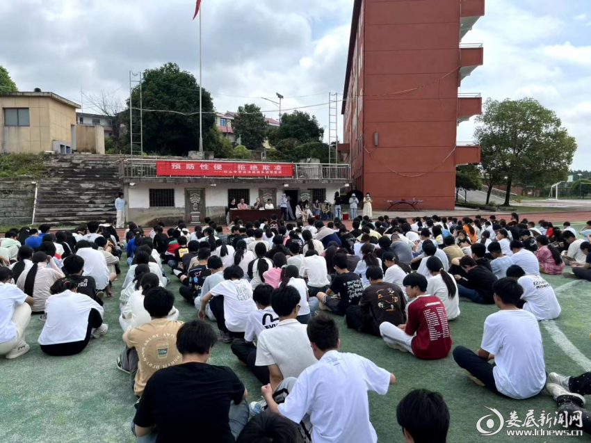 图片3