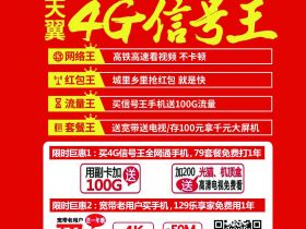 新年换手机天翼4G信号王
