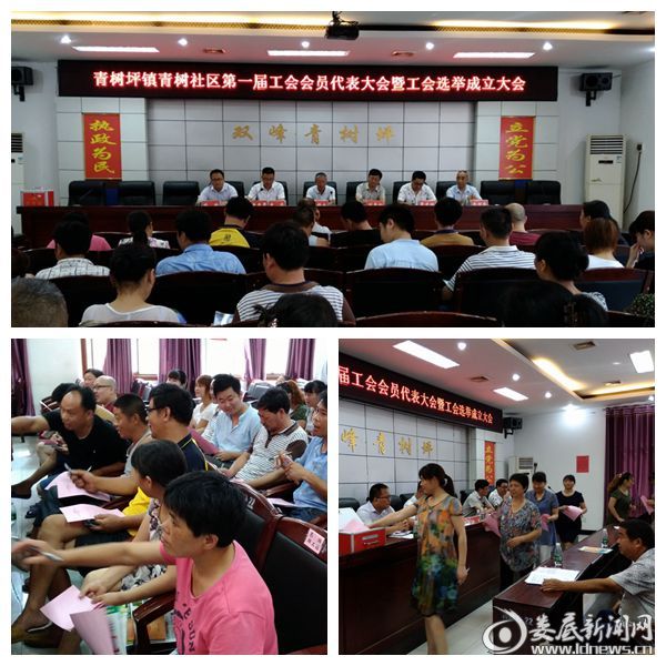 青树坪镇首家社区工会成立