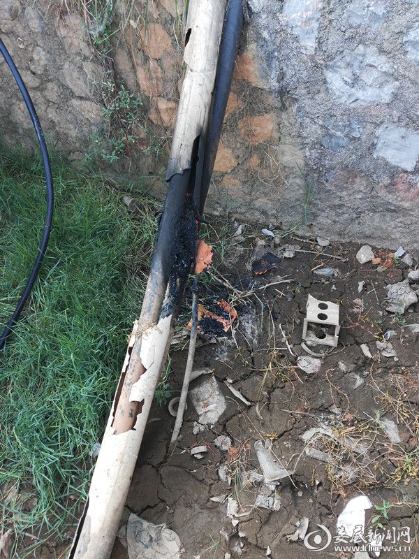 高压电缆被烧危险 市民紧急报警除患