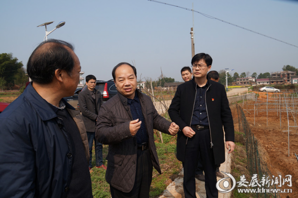 (双峰县人大常委会副主任邹学耀到洪山殿镇调研指导扶贫产业)(正在农