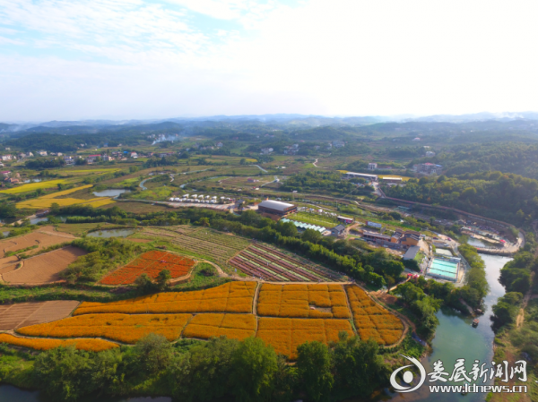 国庆长假青树坪镇归古乡村旅游受青睐